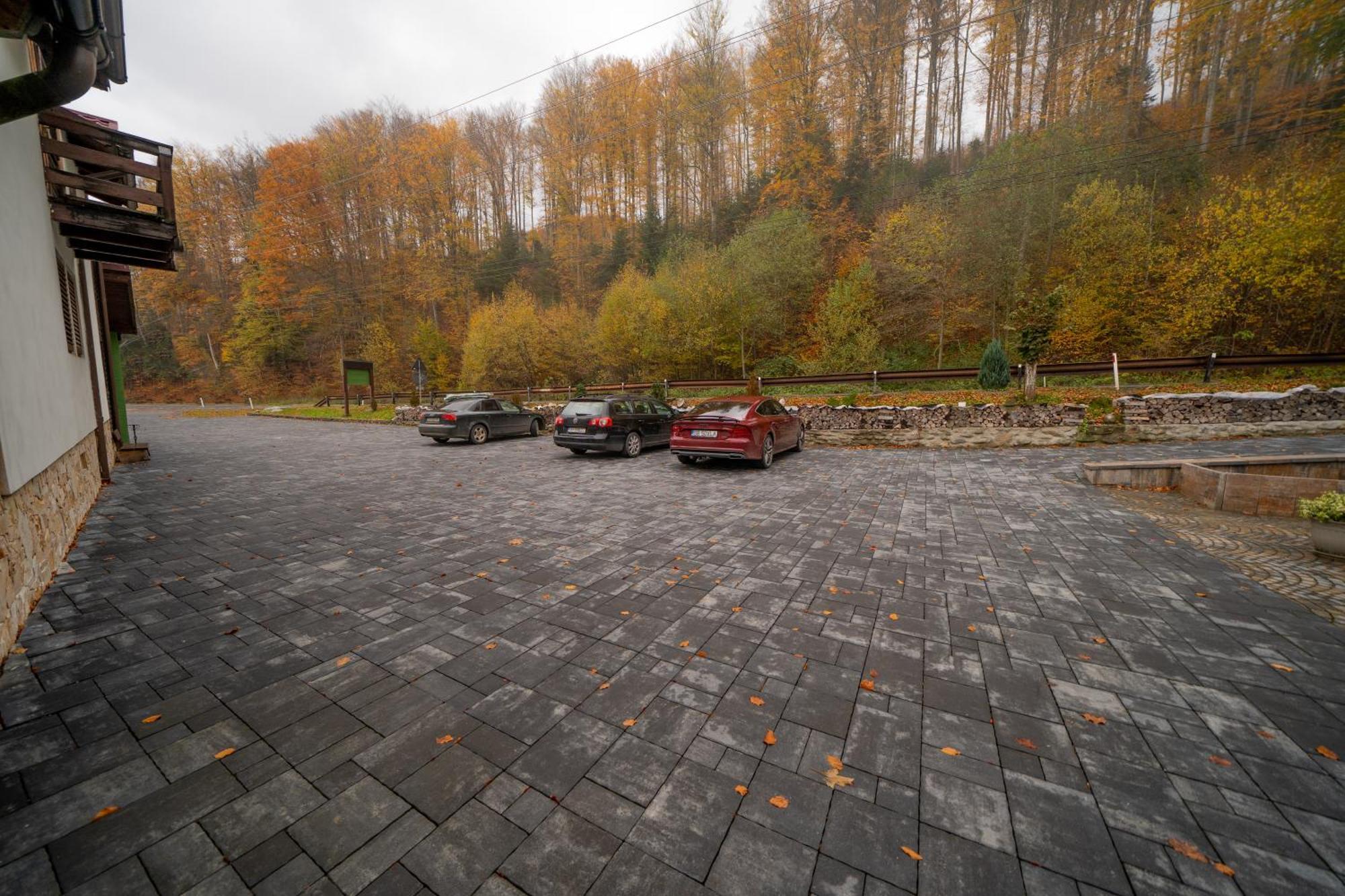 Cîrţişoara Popas Turistic Transfagarasan酒店 外观 照片